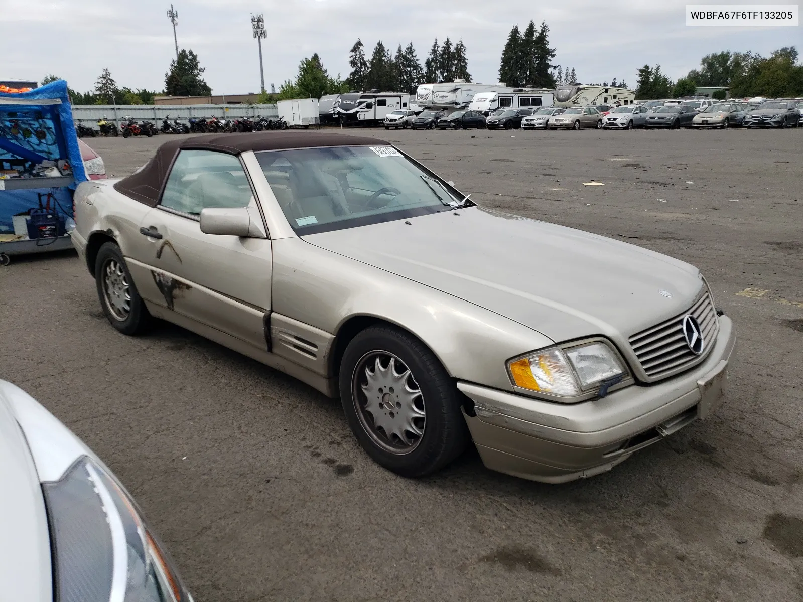 1996 Mercedes-Benz Sl 500 VIN: WDBFA67F6TF133205 Lot: 66977224