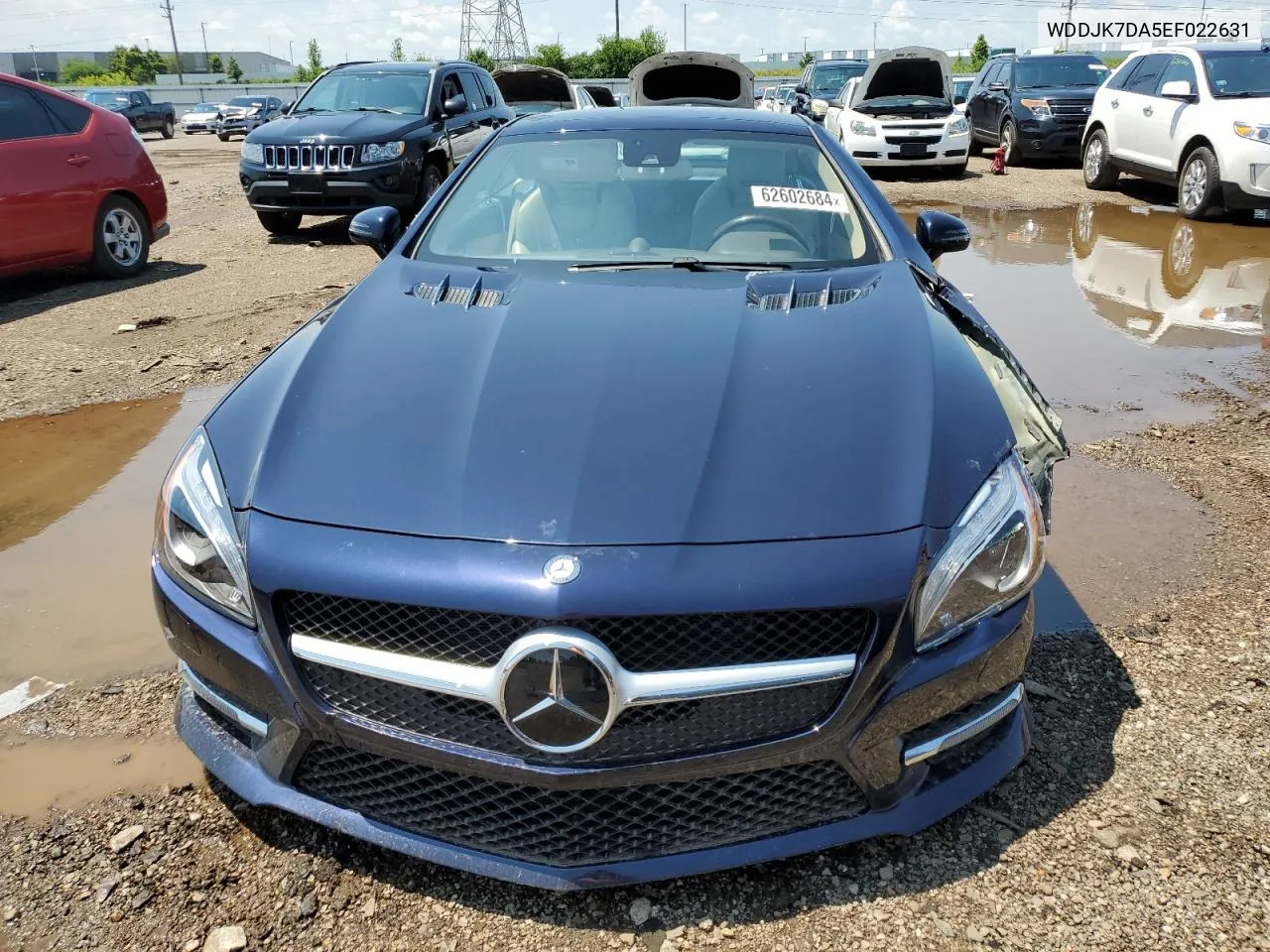 2014 Mercedes-Benz Sl 550 VIN: WDDJK7DA5EF022631 Lot: 62602684