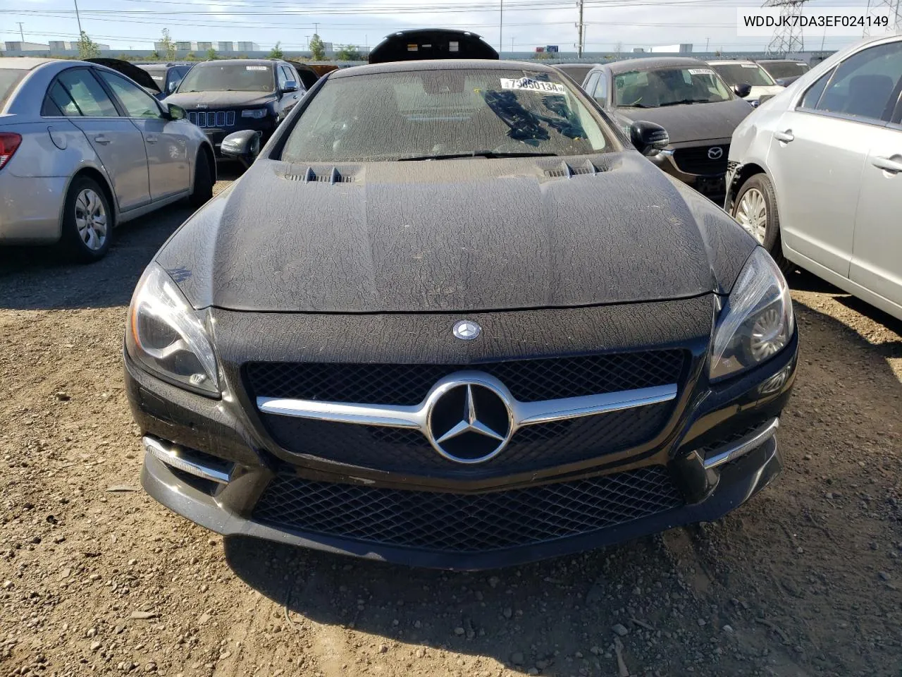 2014 Mercedes-Benz Sl 550 VIN: WDDJK7DA3EF024149 Lot: 73850134