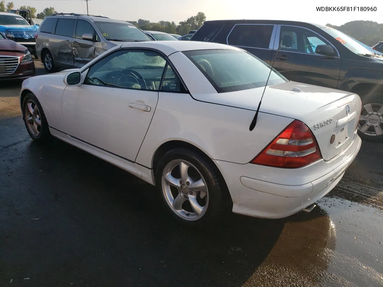 2001 Mercedes-Benz Slk 320 VIN: WDBKK65F81F180960 Lot: 68285434