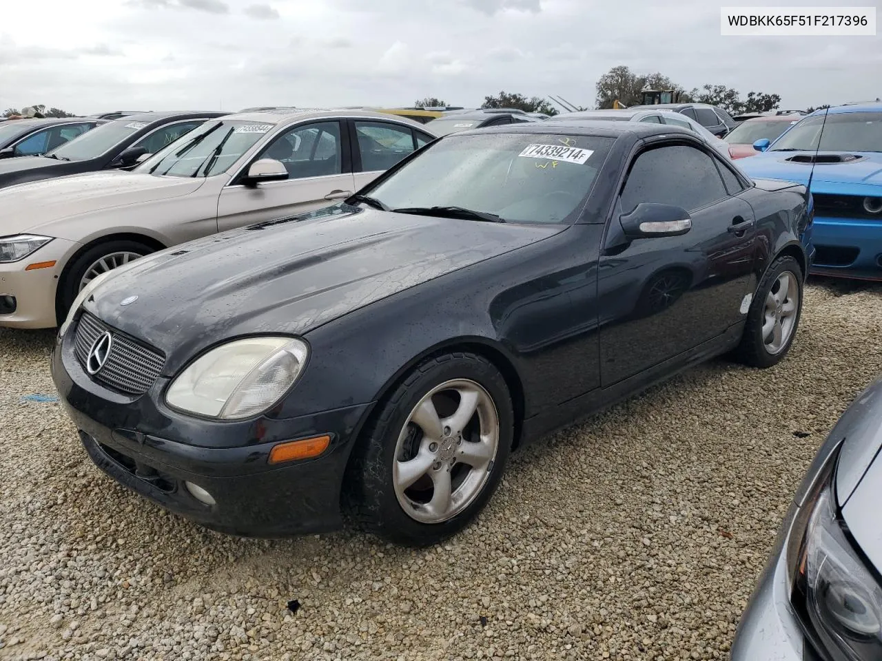 2001 Mercedes-Benz Slk 320 VIN: WDBKK65F51F217396 Lot: 74339214