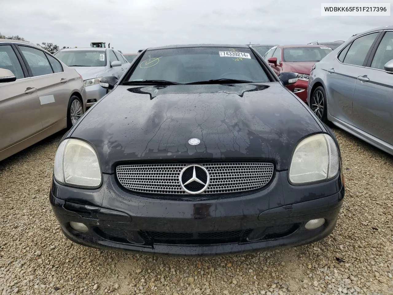 2001 Mercedes-Benz Slk 320 VIN: WDBKK65F51F217396 Lot: 74339214