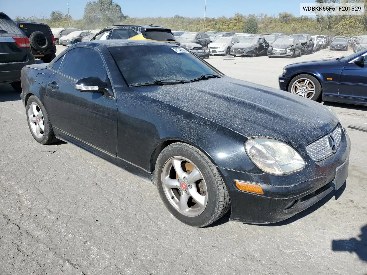 2001 Mercedes-Benz Slk 320 VIN: WDBKK65F61F201529 Lot: 77143924