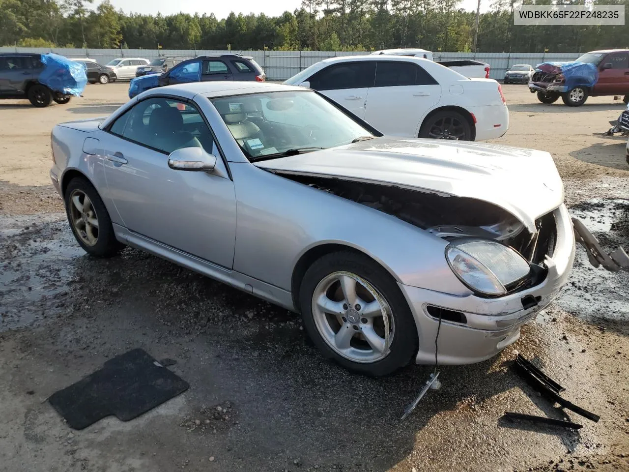 2002 Mercedes-Benz Slk 320 VIN: WDBKK65F22F248235 Lot: 71177974