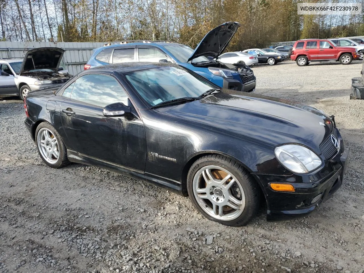 2002 Mercedes-Benz Slk 32 Amg Kompressor VIN: WDBKK66F42F230978 Lot: 71451144