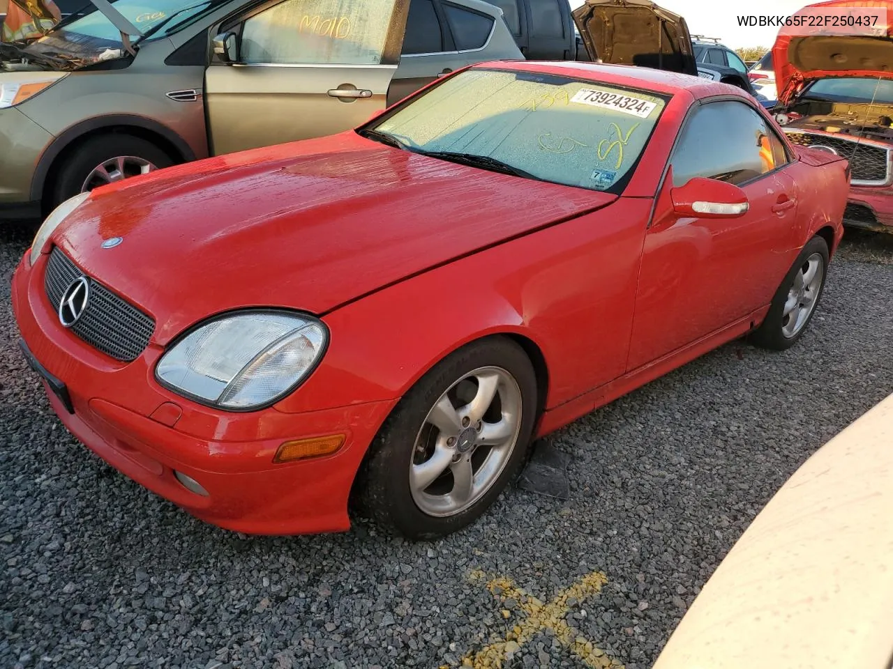 2002 Mercedes-Benz Slk 320 VIN: WDBKK65F22F250437 Lot: 73924324