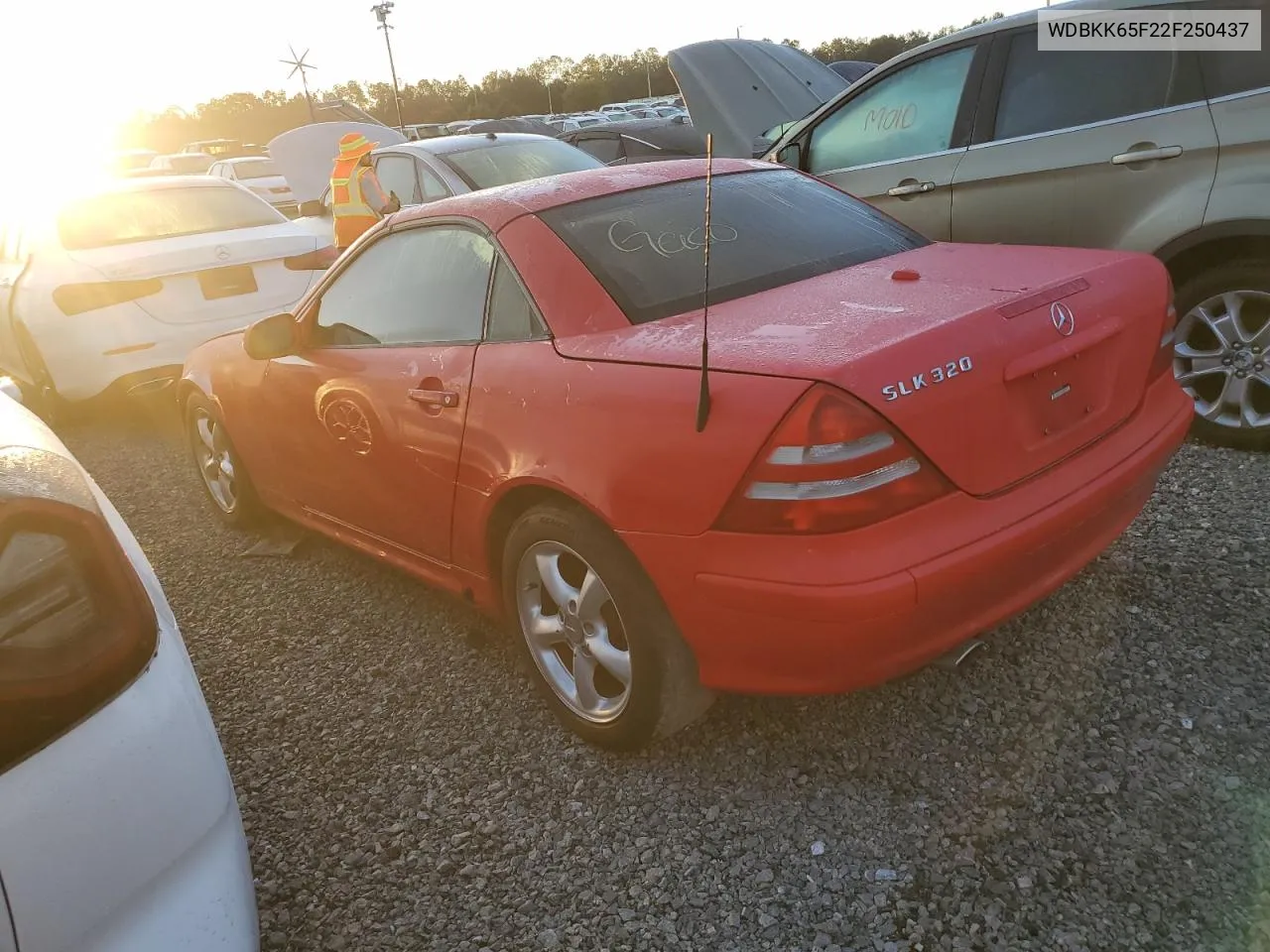 2002 Mercedes-Benz Slk 320 VIN: WDBKK65F22F250437 Lot: 73924324