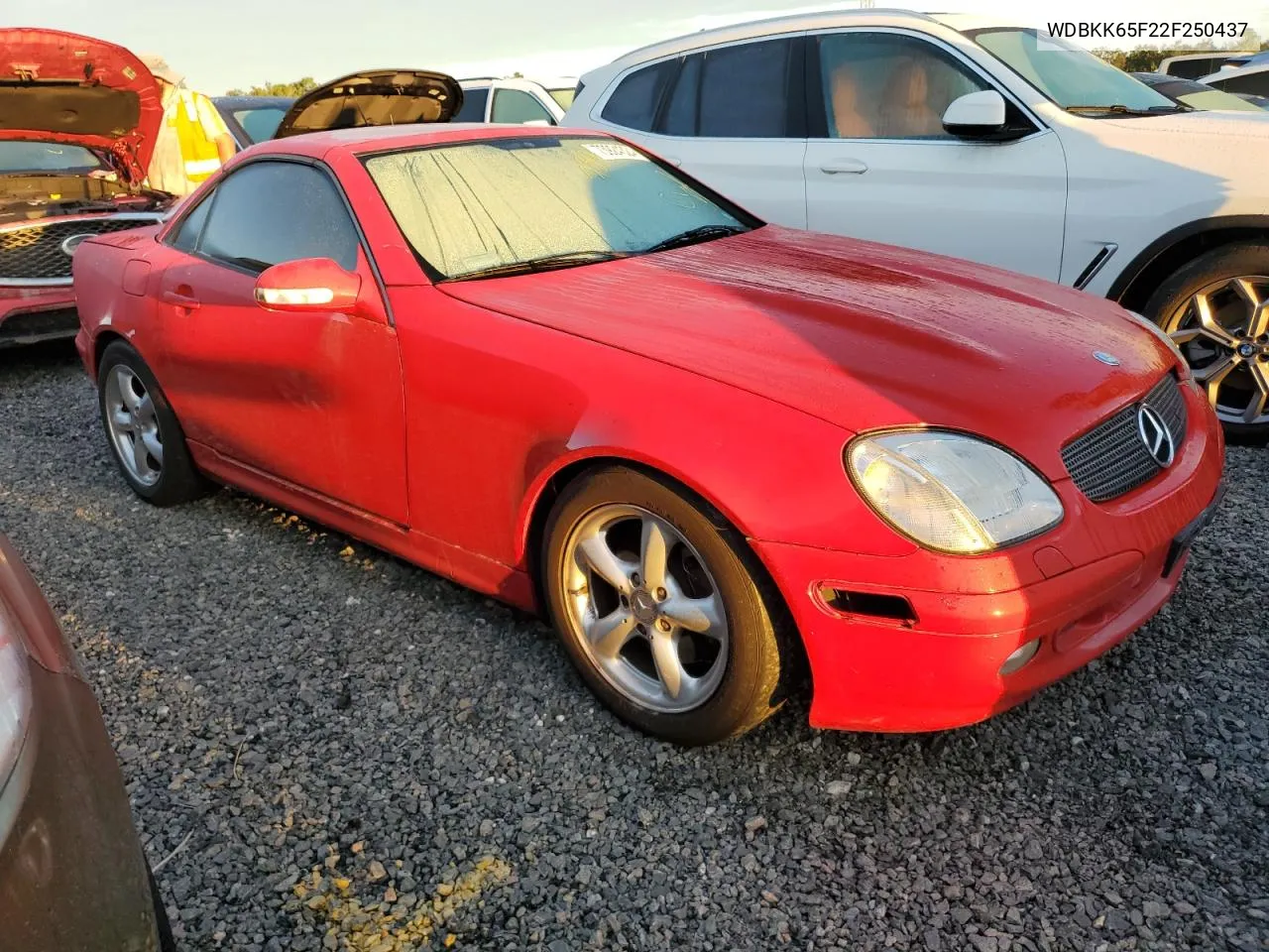 2002 Mercedes-Benz Slk 320 VIN: WDBKK65F22F250437 Lot: 73924324