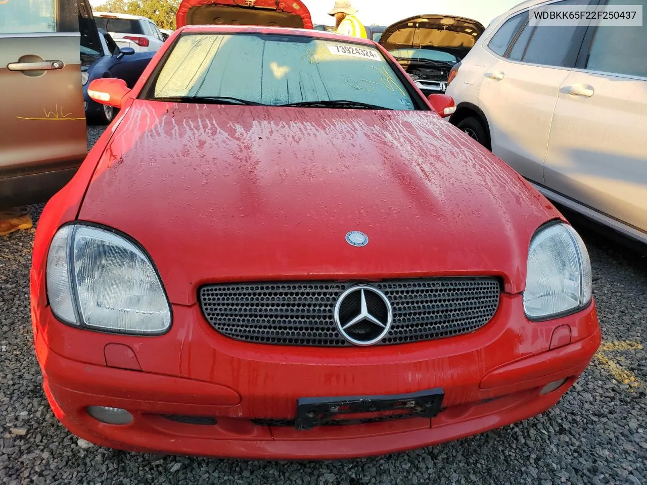 2002 Mercedes-Benz Slk 320 VIN: WDBKK65F22F250437 Lot: 73924324