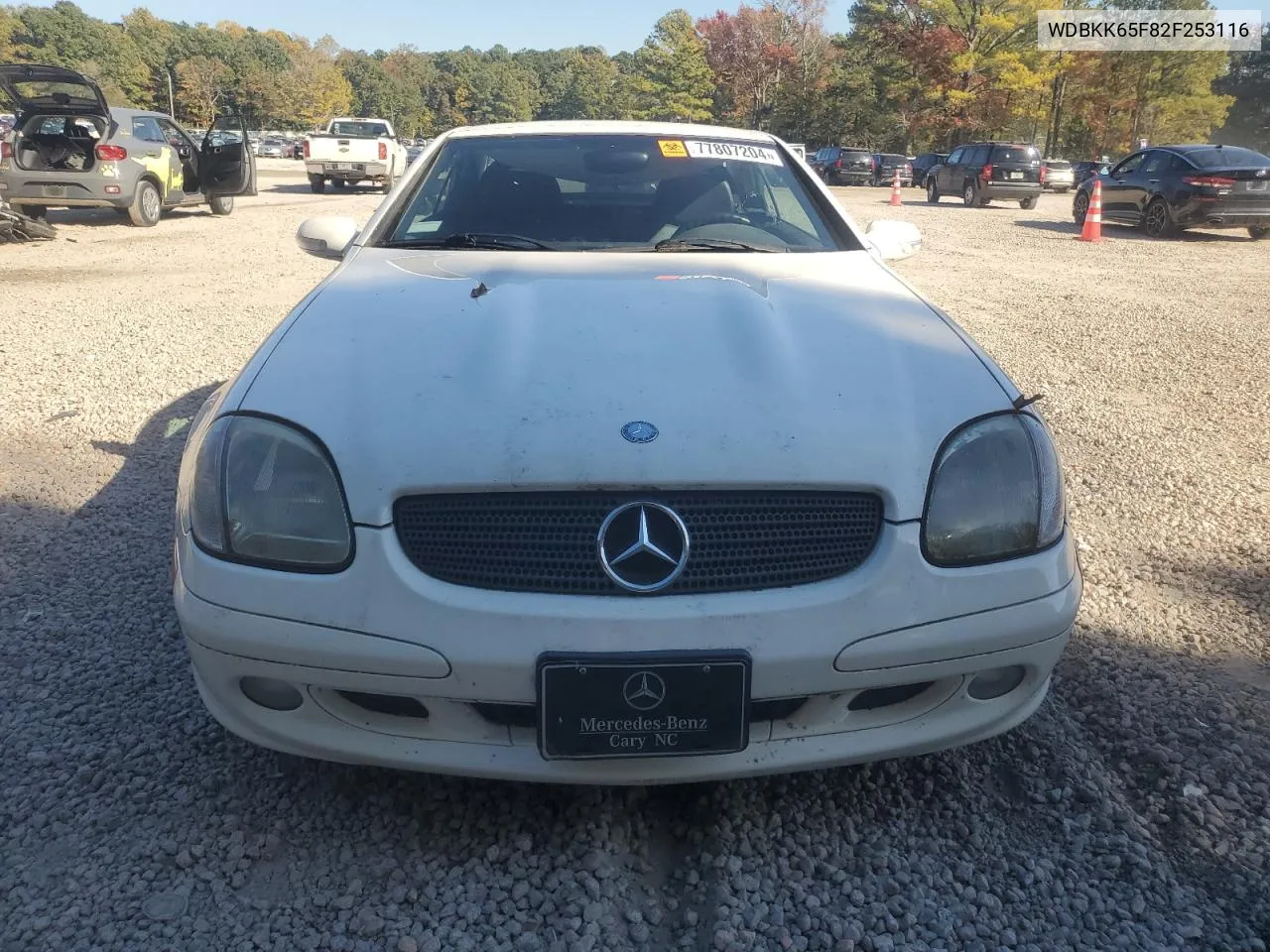 2002 Mercedes-Benz Slk 320 VIN: WDBKK65F82F253116 Lot: 77807204