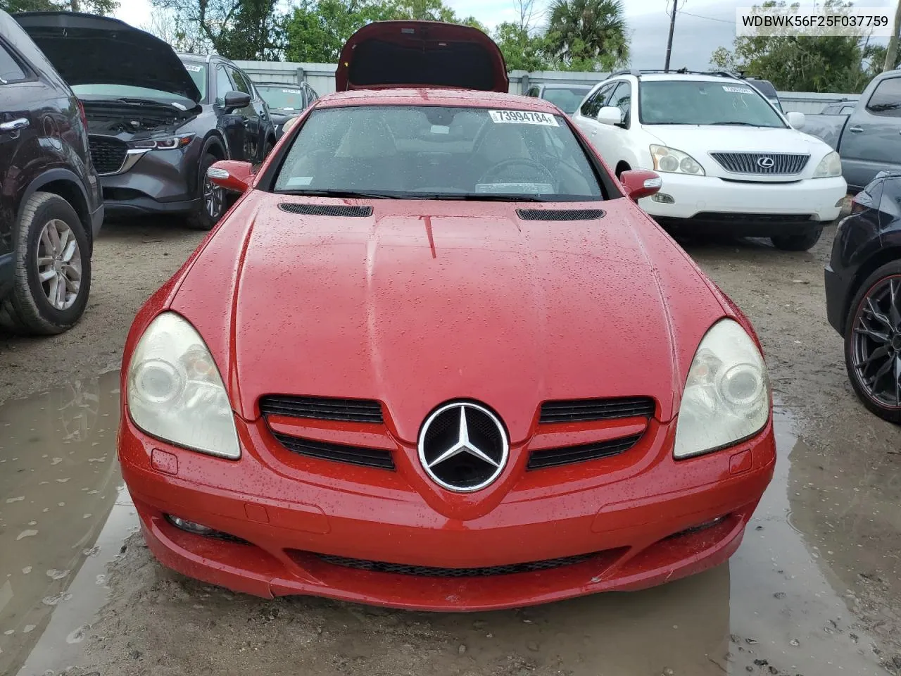 2005 Mercedes-Benz Slk 350 VIN: WDBWK56F25F037759 Lot: 73994784