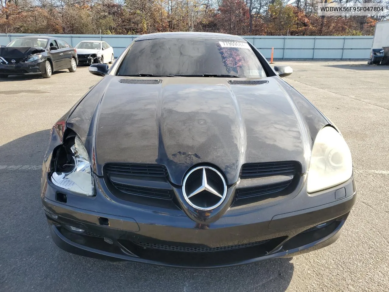 2005 Mercedes-Benz Slk 350 VIN: WDBWK56F95F047804 Lot: 77909684