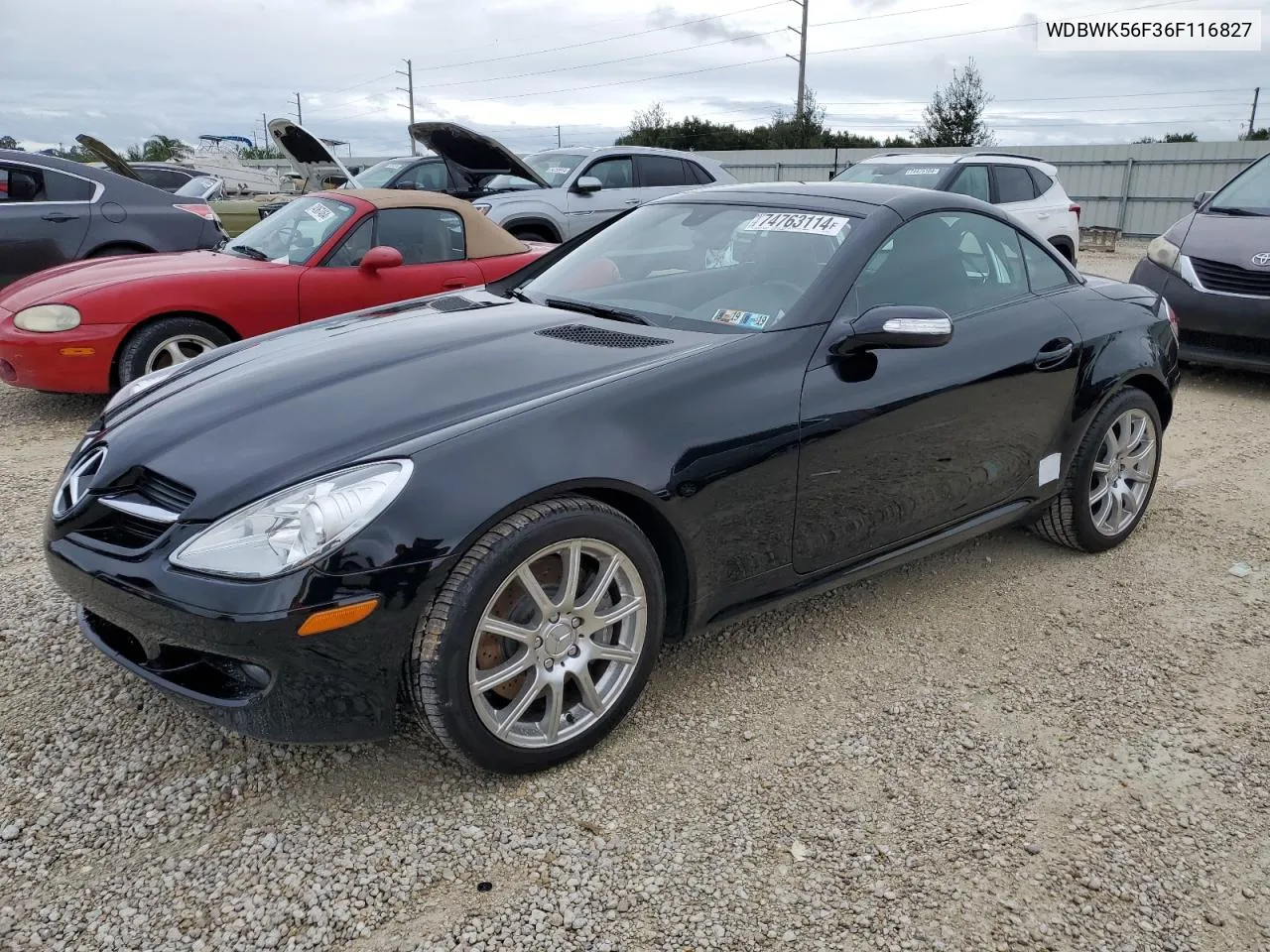 2006 Mercedes-Benz Slk 350 VIN: WDBWK56F36F116827 Lot: 74763114