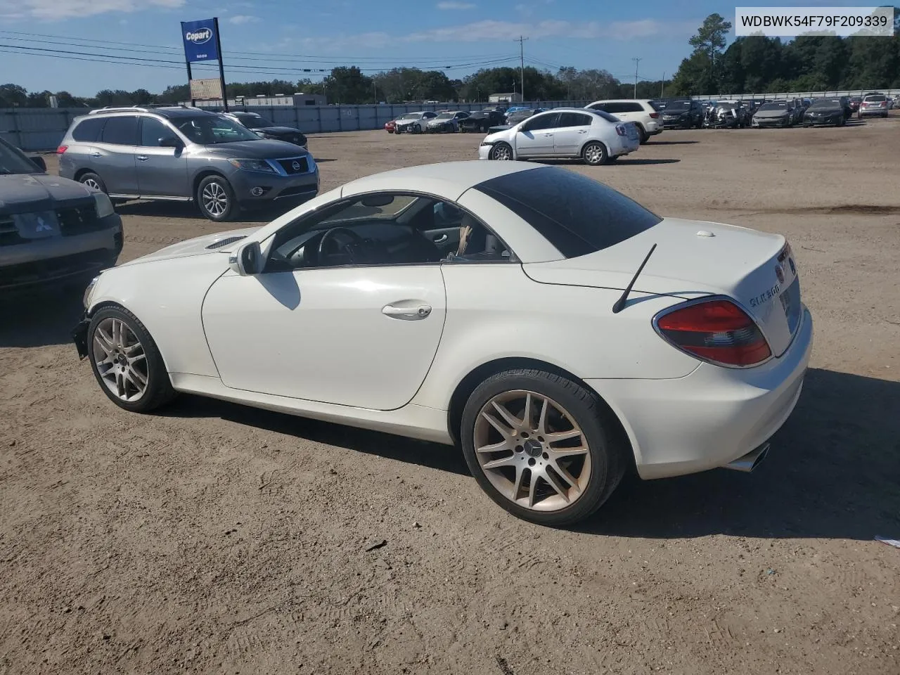 2009 Mercedes-Benz Slk 300 VIN: WDBWK54F79F209339 Lot: 77400294