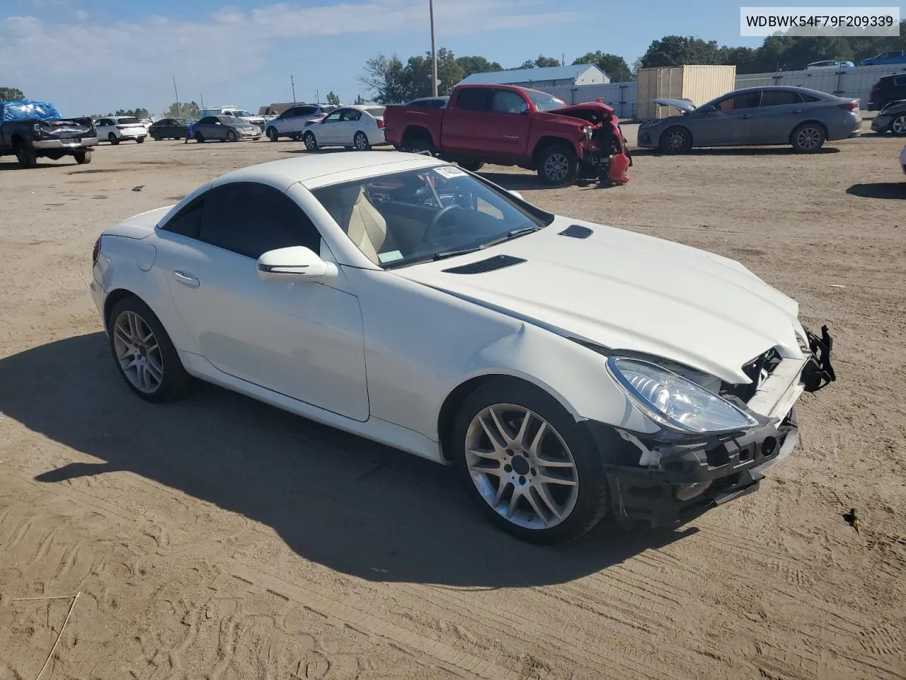 2009 Mercedes-Benz Slk 300 VIN: WDBWK54F79F209339 Lot: 77400294