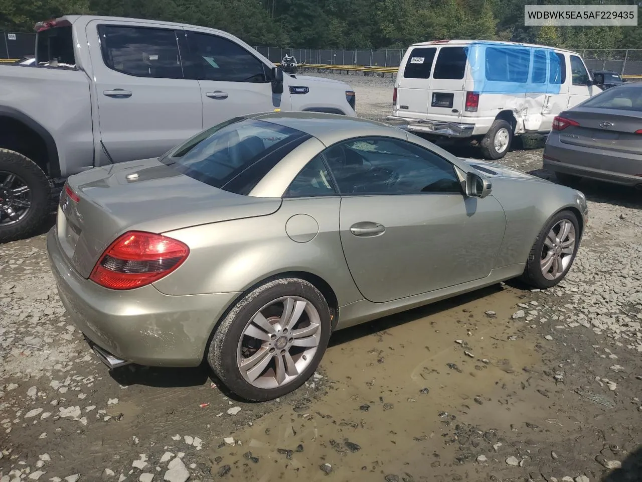 2010 Mercedes-Benz Slk 300 VIN: WDBWK5EA5AF229435 Lot: 68993834