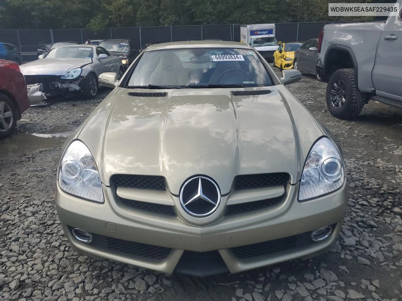 2010 Mercedes-Benz Slk 300 VIN: WDBWK5EA5AF229435 Lot: 68993834