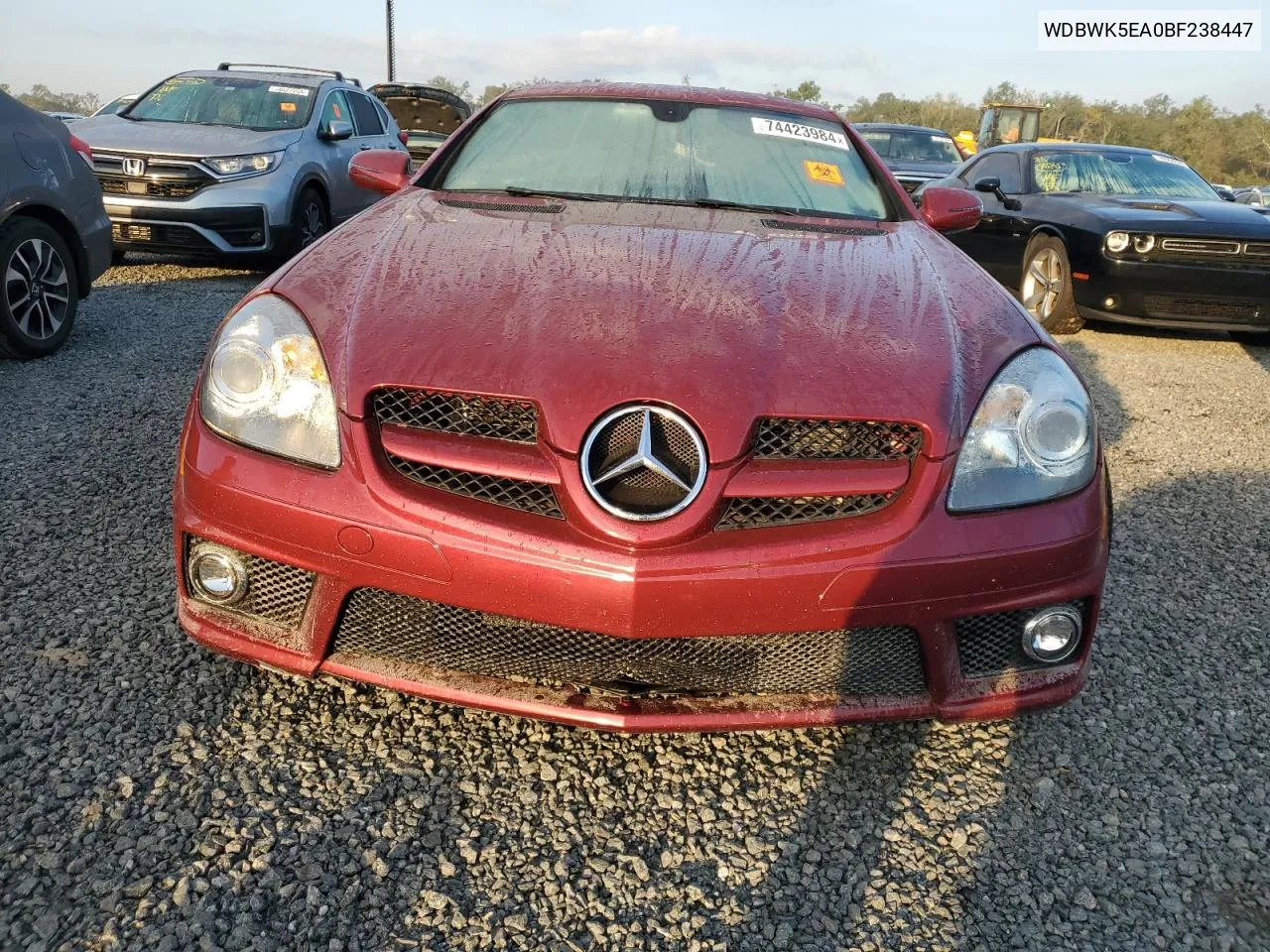 2011 Mercedes-Benz Slk 300 VIN: WDBWK5EA0BF238447 Lot: 74423984