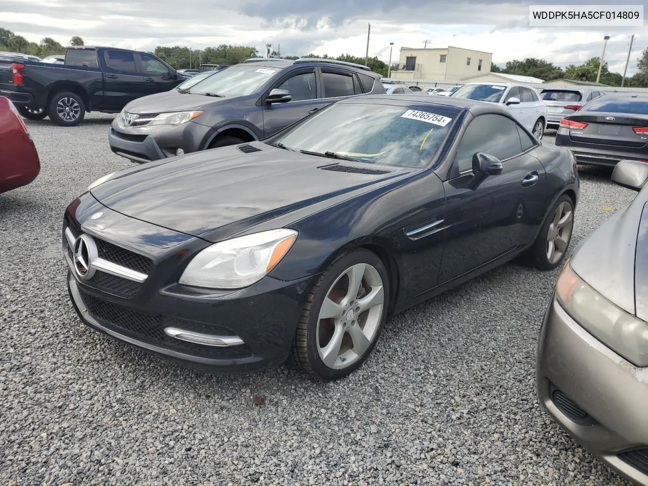 2012 Mercedes-Benz Slk 350 VIN: WDDPK5HA5CF014809 Lot: 74365754