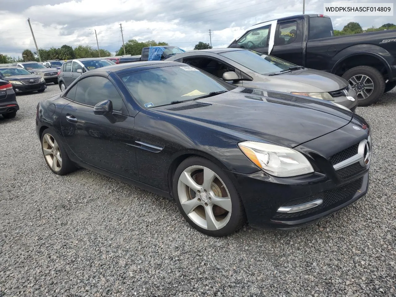 2012 Mercedes-Benz Slk 350 VIN: WDDPK5HA5CF014809 Lot: 74365754