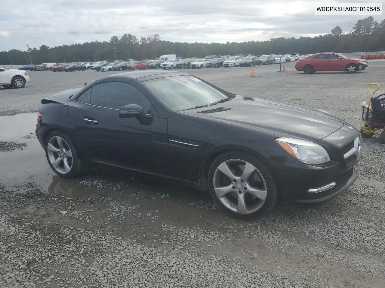 2012 Mercedes-Benz Slk 350 VIN: WDDPK5HA0CF019545 Lot: 76512564