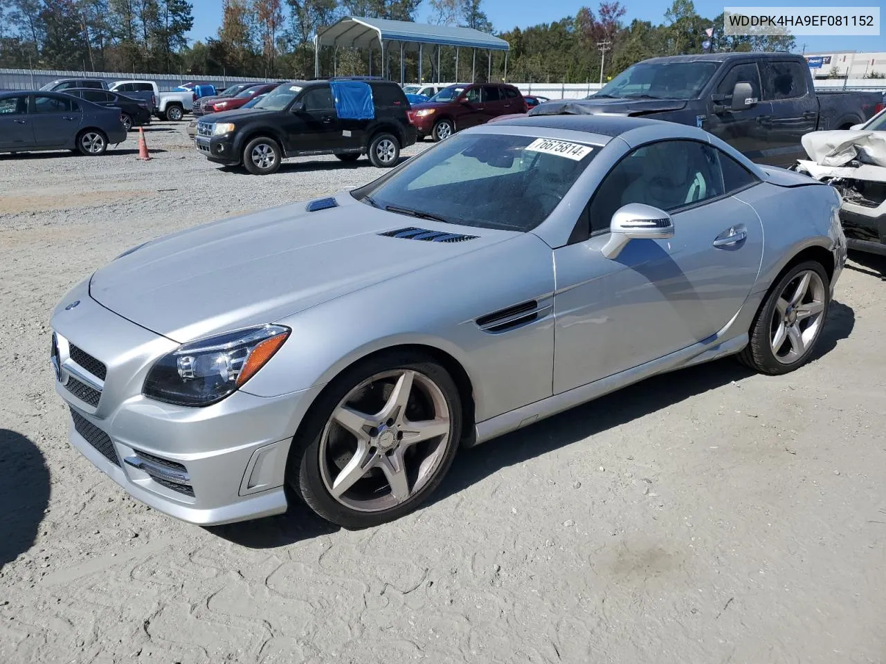 2014 Mercedes-Benz Slk 250 VIN: WDDPK4HA9EF081152 Lot: 76675814