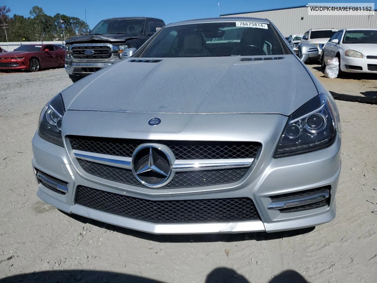 2014 Mercedes-Benz Slk 250 VIN: WDDPK4HA9EF081152 Lot: 76675814