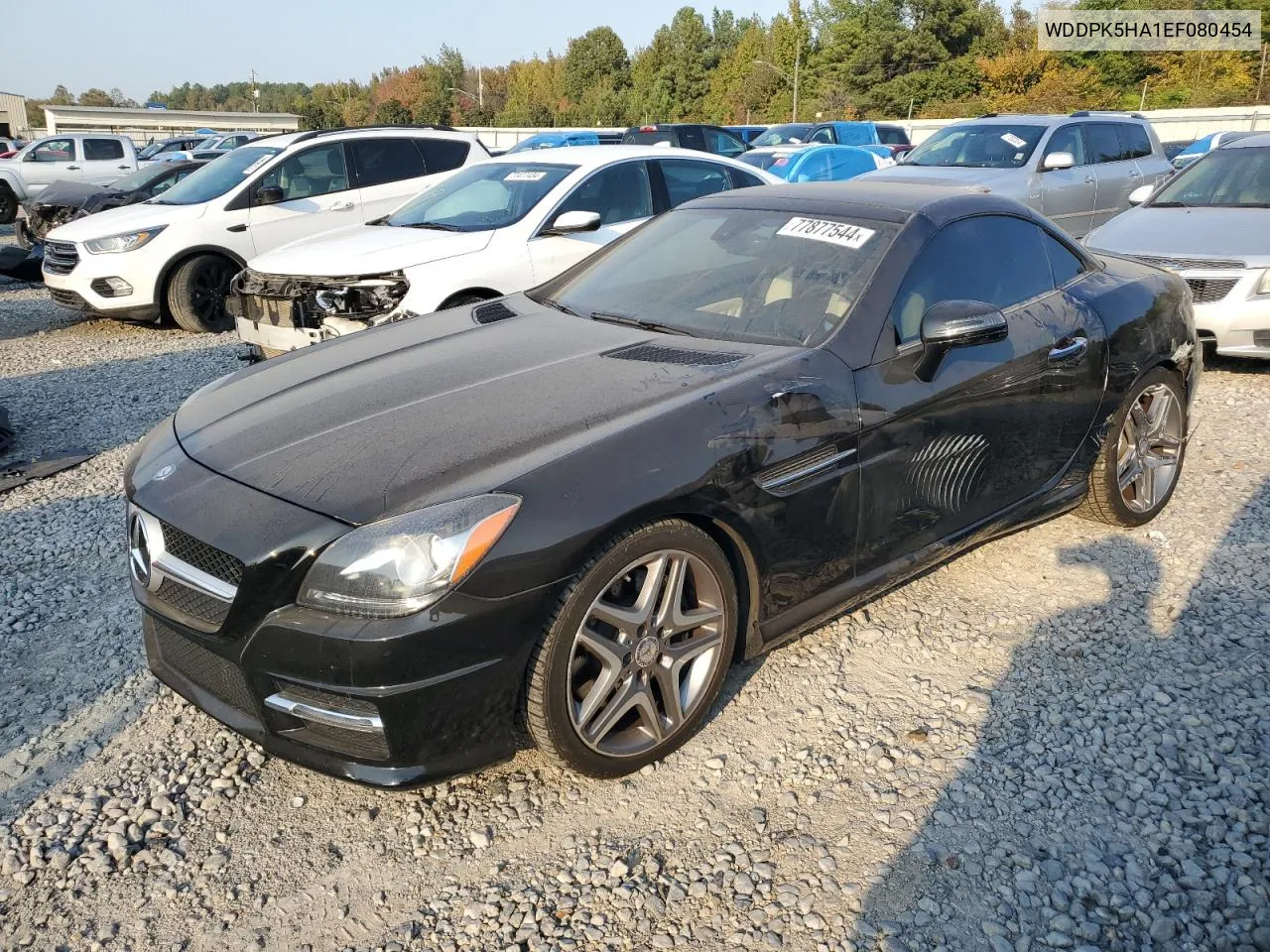 2014 Mercedes-Benz Slk 350 VIN: WDDPK5HA1EF080454 Lot: 77877544