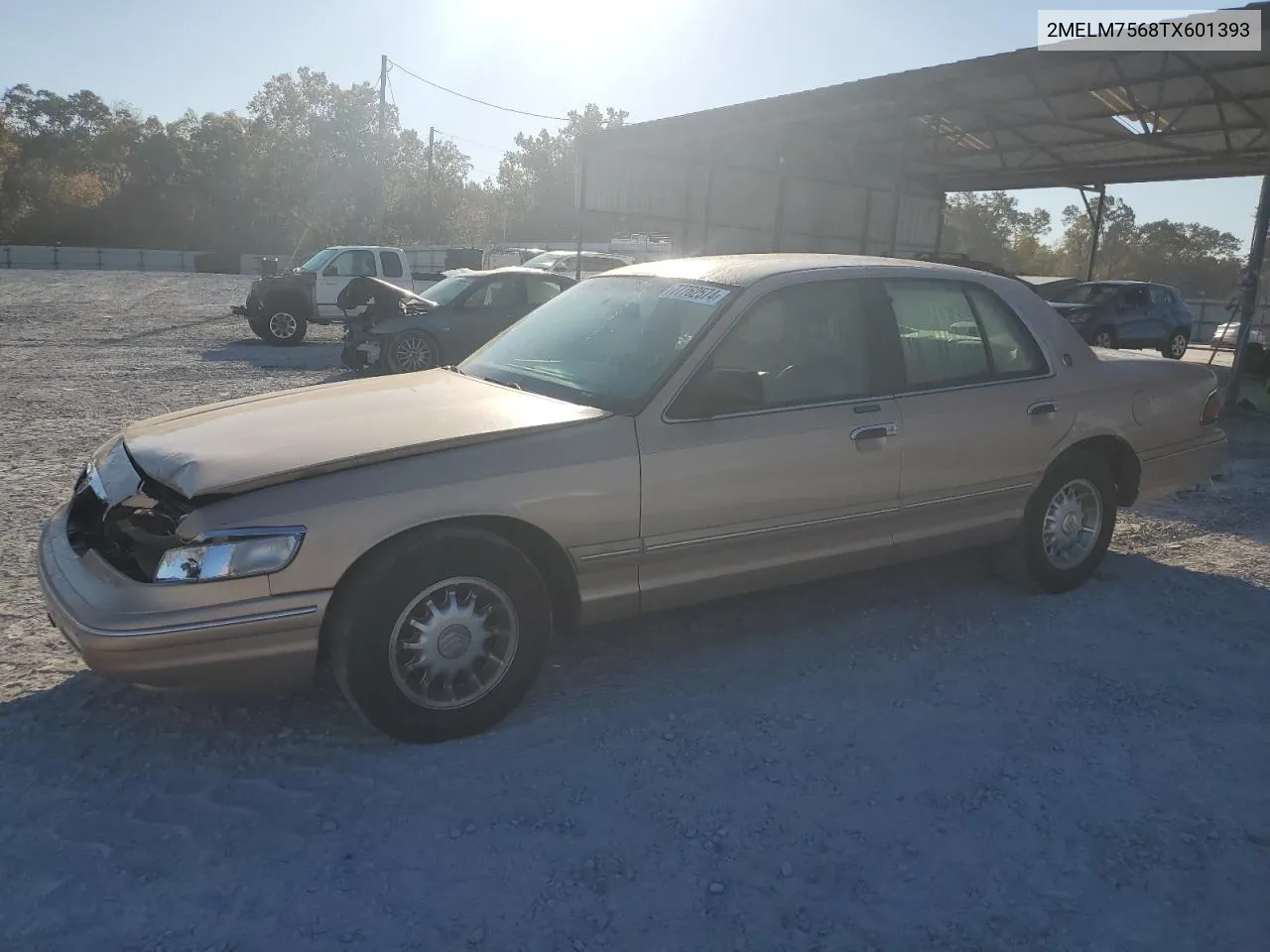 1996 Mercury Grand Marquis Ls VIN: 2MELM7568TX601393 Lot: 77762574