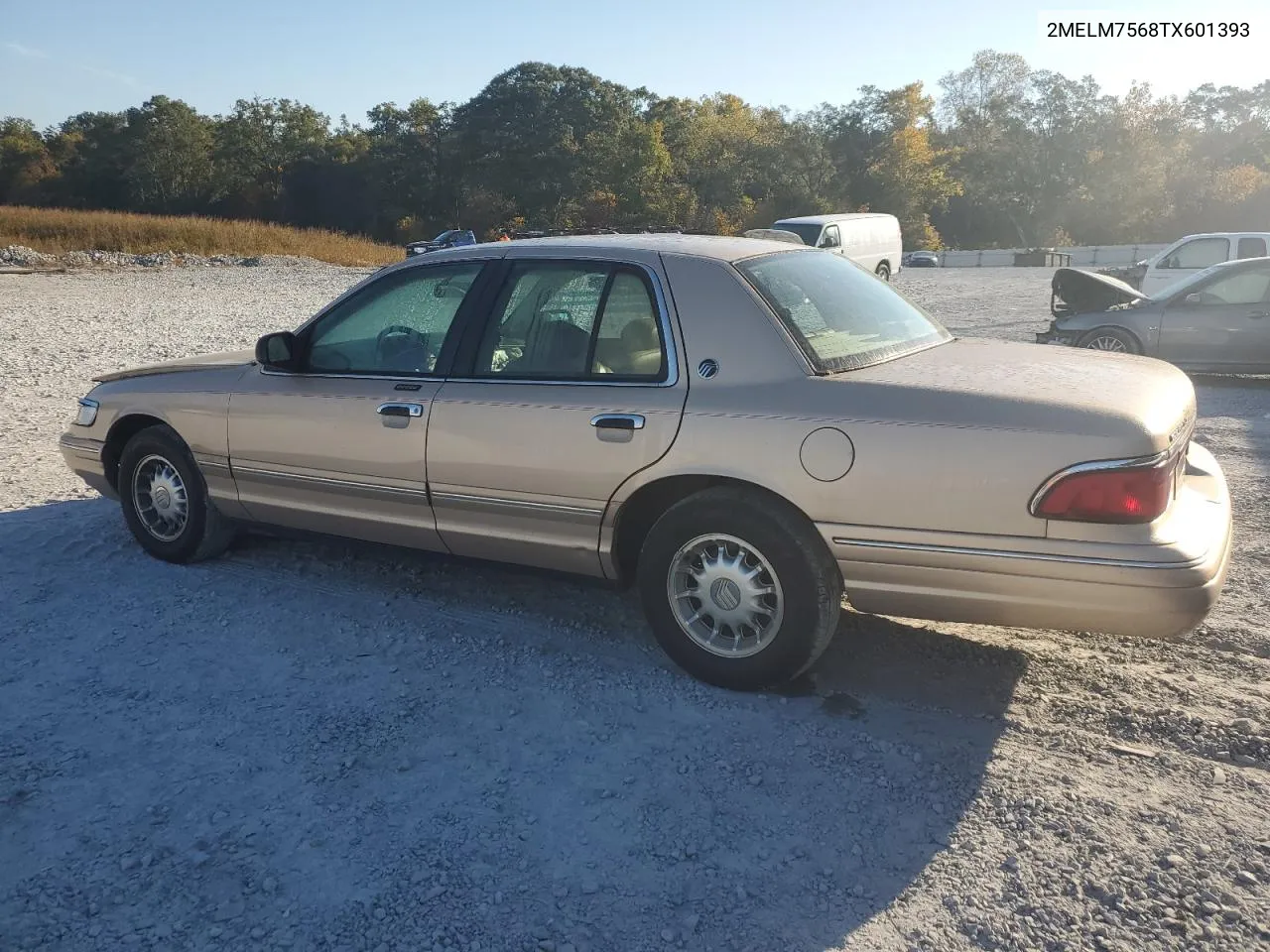 1996 Mercury Grand Marquis Ls VIN: 2MELM7568TX601393 Lot: 77762574