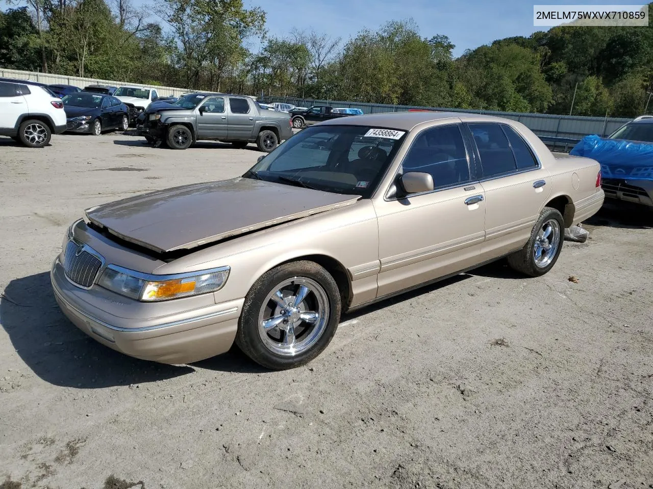 1997 Mercury Grand Marquis Ls VIN: 2MELM75WXVX710859 Lot: 74358864