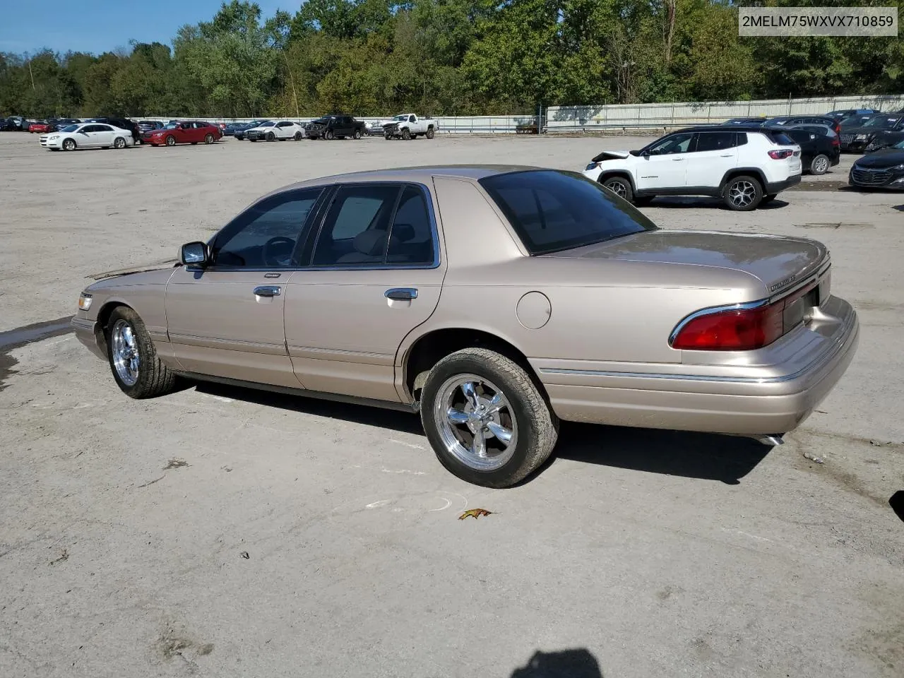 1997 Mercury Grand Marquis Ls VIN: 2MELM75WXVX710859 Lot: 74358864