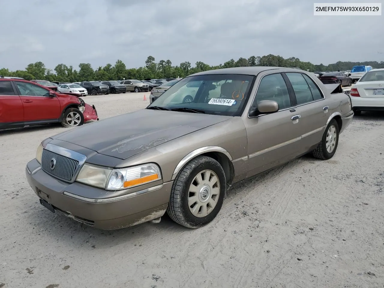 2003 Mercury Grand Marquis Ls VIN: 2MEFM75W93X650129 Lot: 55392614