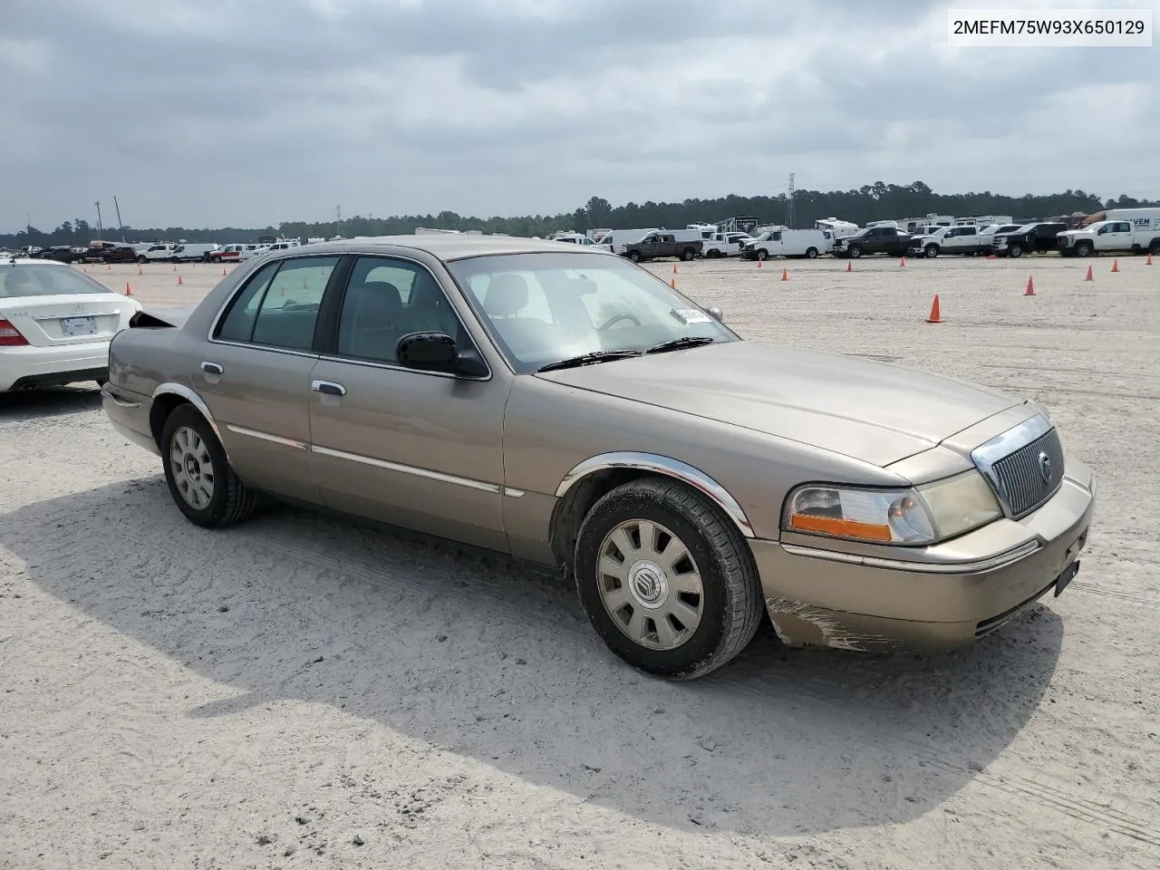 2003 Mercury Grand Marquis Ls VIN: 2MEFM75W93X650129 Lot: 55392614