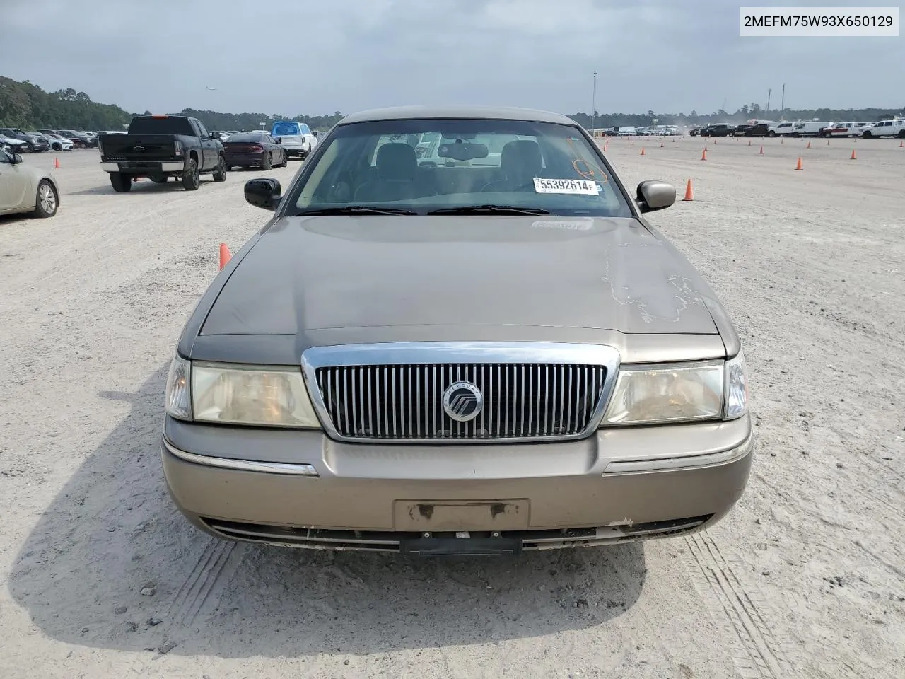 2003 Mercury Grand Marquis Ls VIN: 2MEFM75W93X650129 Lot: 55392614