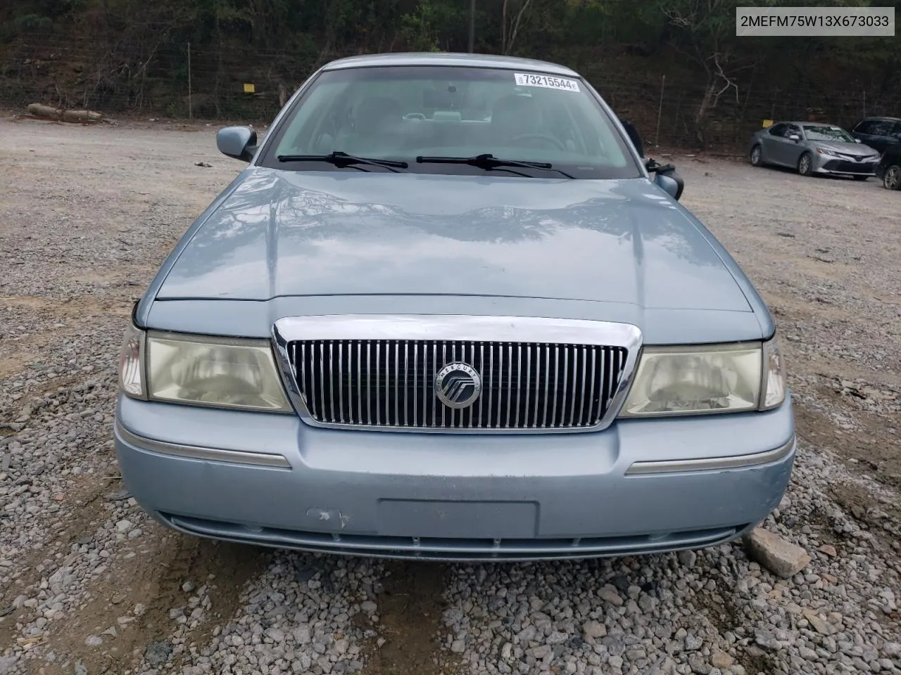 2003 Mercury Grand Marquis Ls VIN: 2MEFM75W13X673033 Lot: 73215544