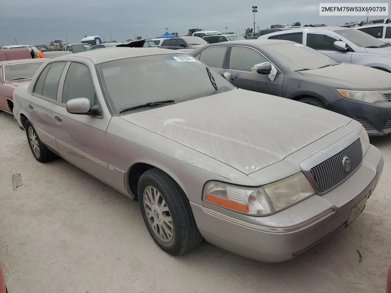 2003 Mercury Grand Marquis Ls VIN: 2MEFM75W53X690739 Lot: 75879044