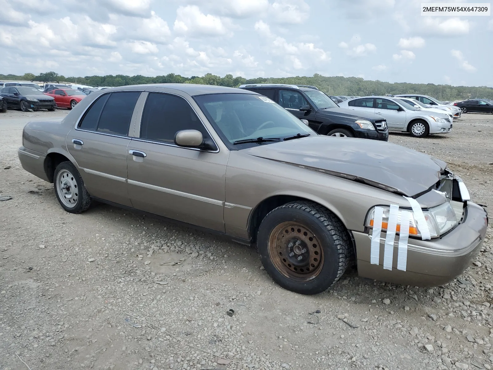 2004 Mercury Grand Marquis Ls VIN: 2MEFM75W54X647309 Lot: 64415714