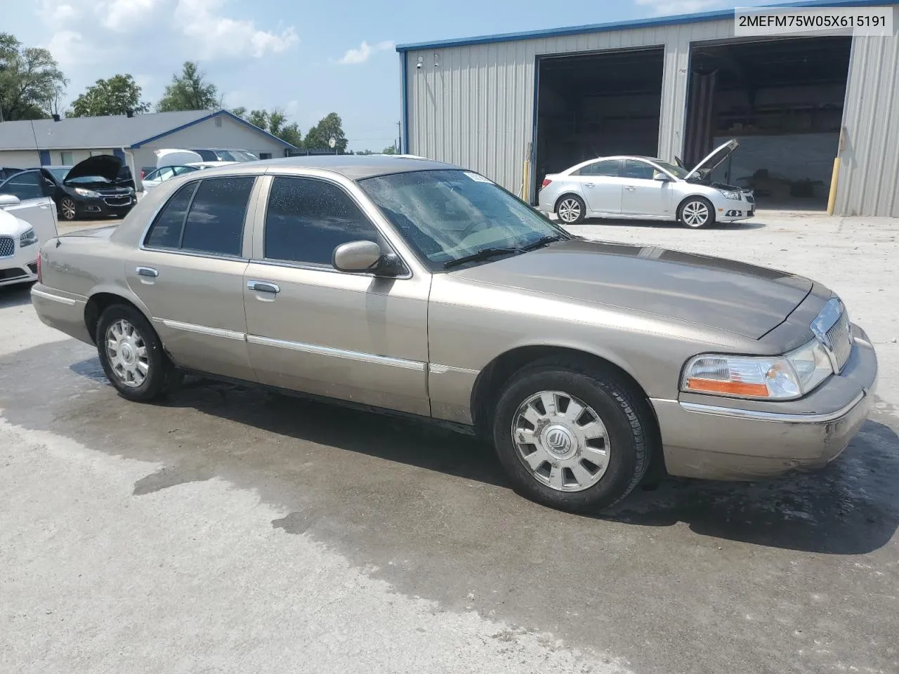 2005 Mercury Grand Marquis Ls VIN: 2MEFM75W05X615191 Lot: 65818654