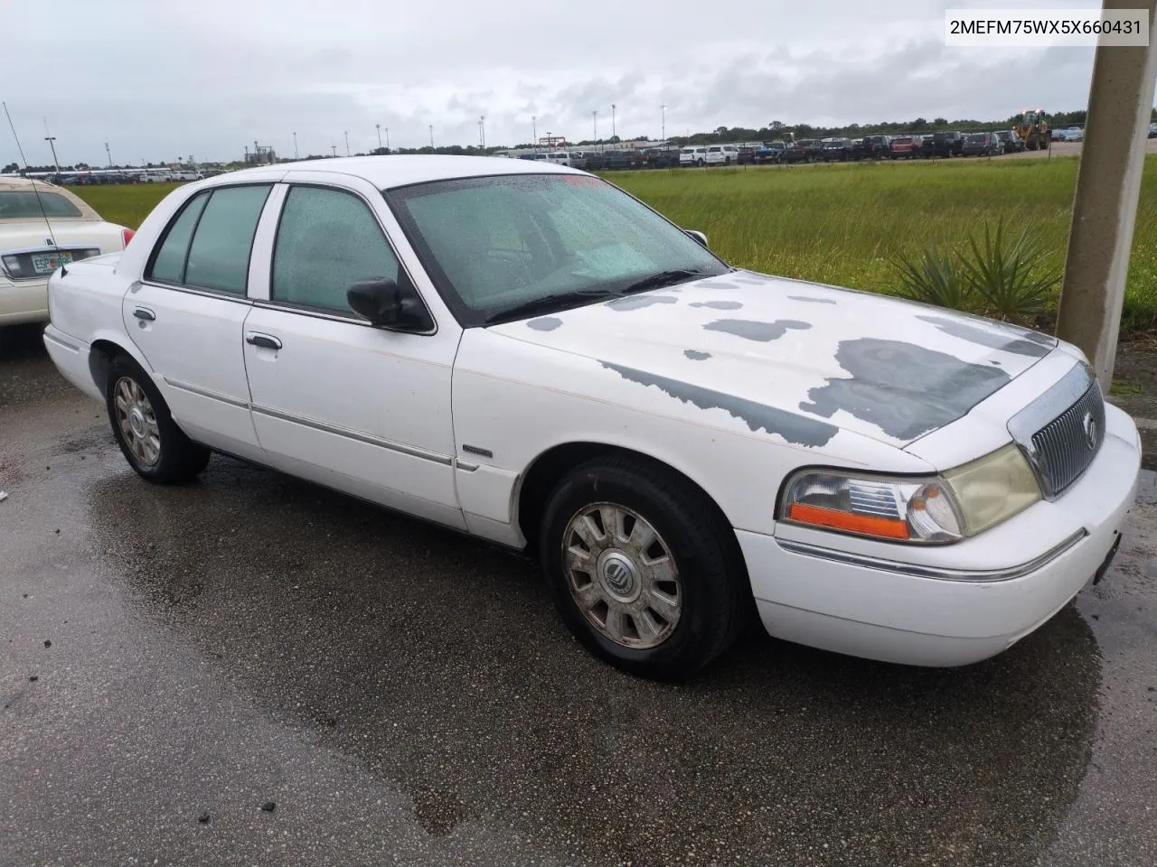 2005 Mercury Grand Marquis Ls VIN: 2MEFM75WX5X660431 Lot: 73957524