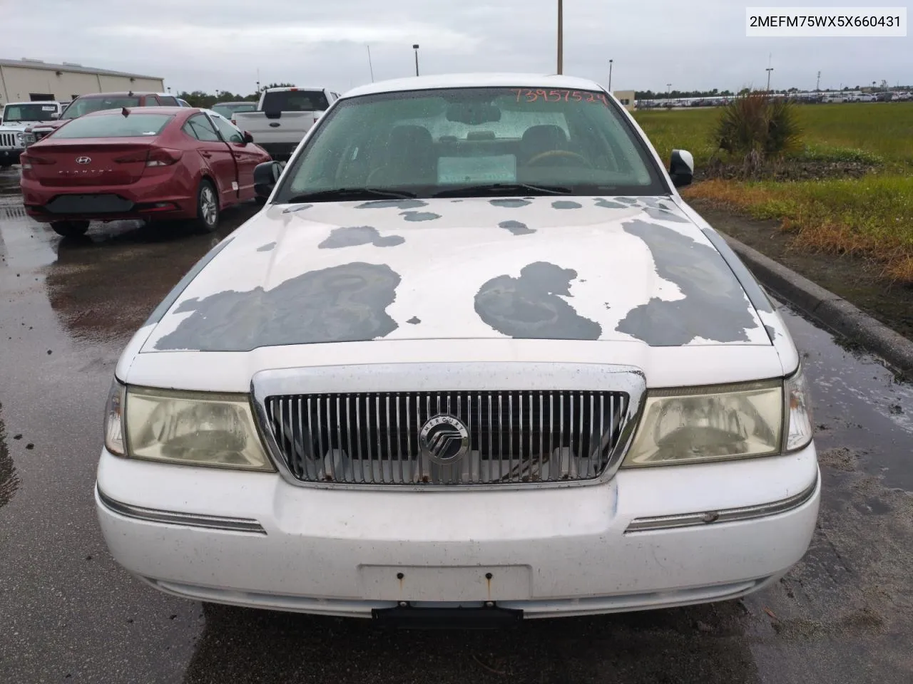 2005 Mercury Grand Marquis Ls VIN: 2MEFM75WX5X660431 Lot: 73957524