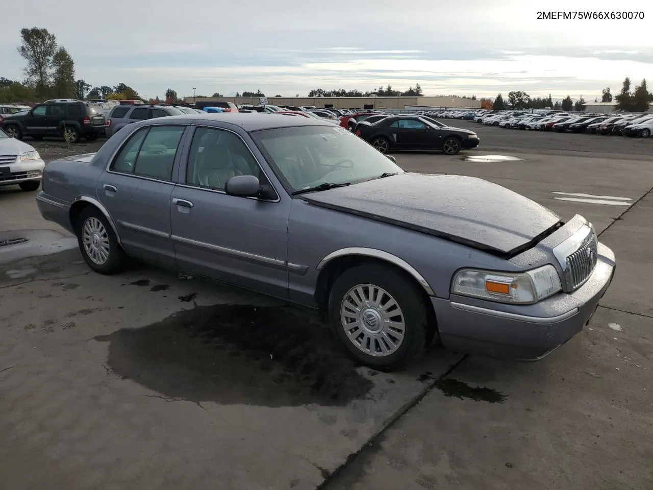 2006 Mercury Grand Marquis Ls VIN: 2MEFM75W66X630070 Lot: 76976034