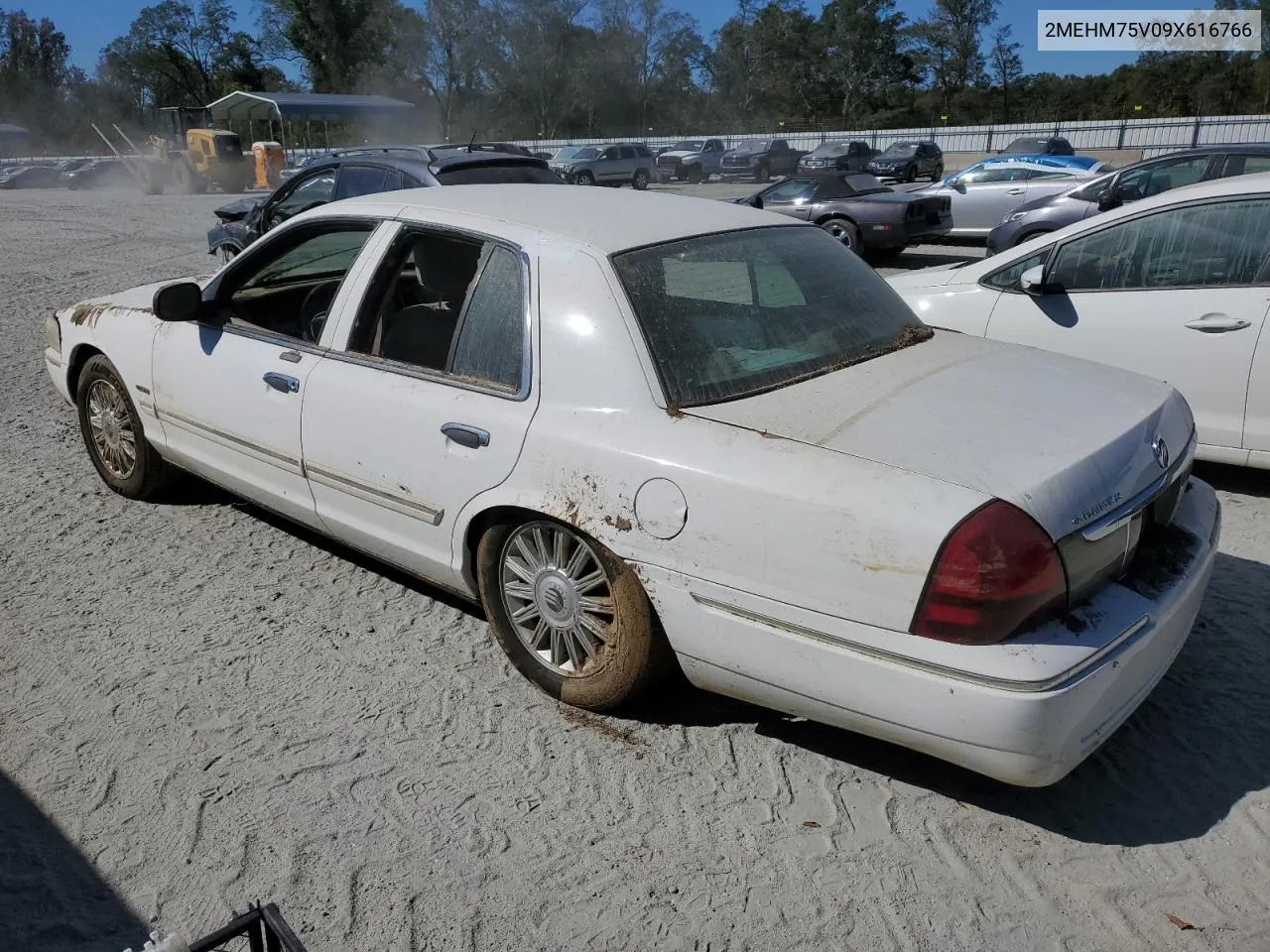 2009 Mercury Grand Marquis Ls VIN: 2MEHM75V09X616766 Lot: 74763904