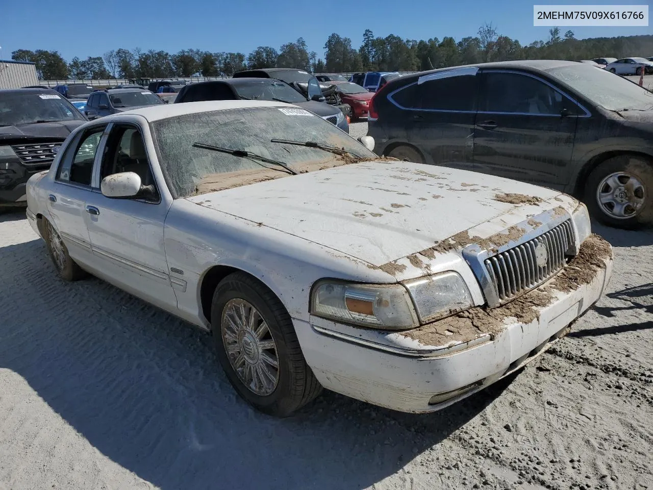 2009 Mercury Grand Marquis Ls VIN: 2MEHM75V09X616766 Lot: 74763904