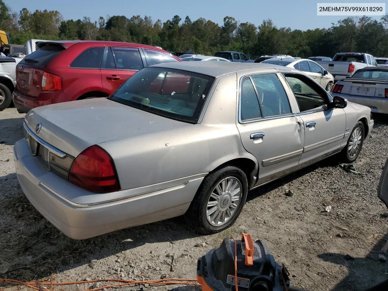 2009 Mercury Grand Marquis Ls VIN: 2MEHM75V99X618290 Lot: 76144184