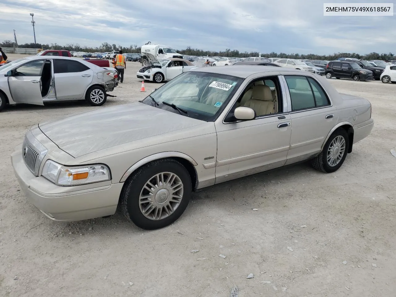 2009 Mercury Grand Marquis Ls VIN: 2MEHM75V49X618567 Lot: 77989994