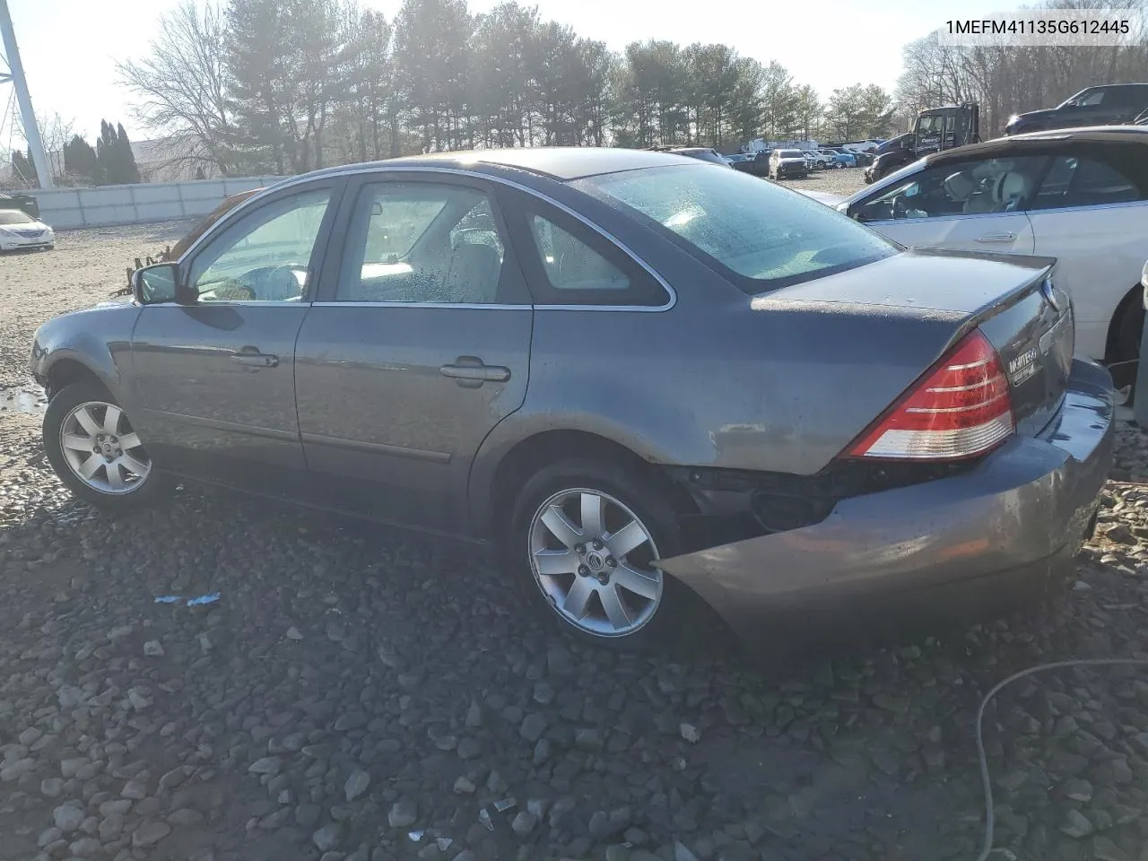 2005 Mercury Montego Luxury VIN: 1MEFM41135G612445 Lot: 80005983