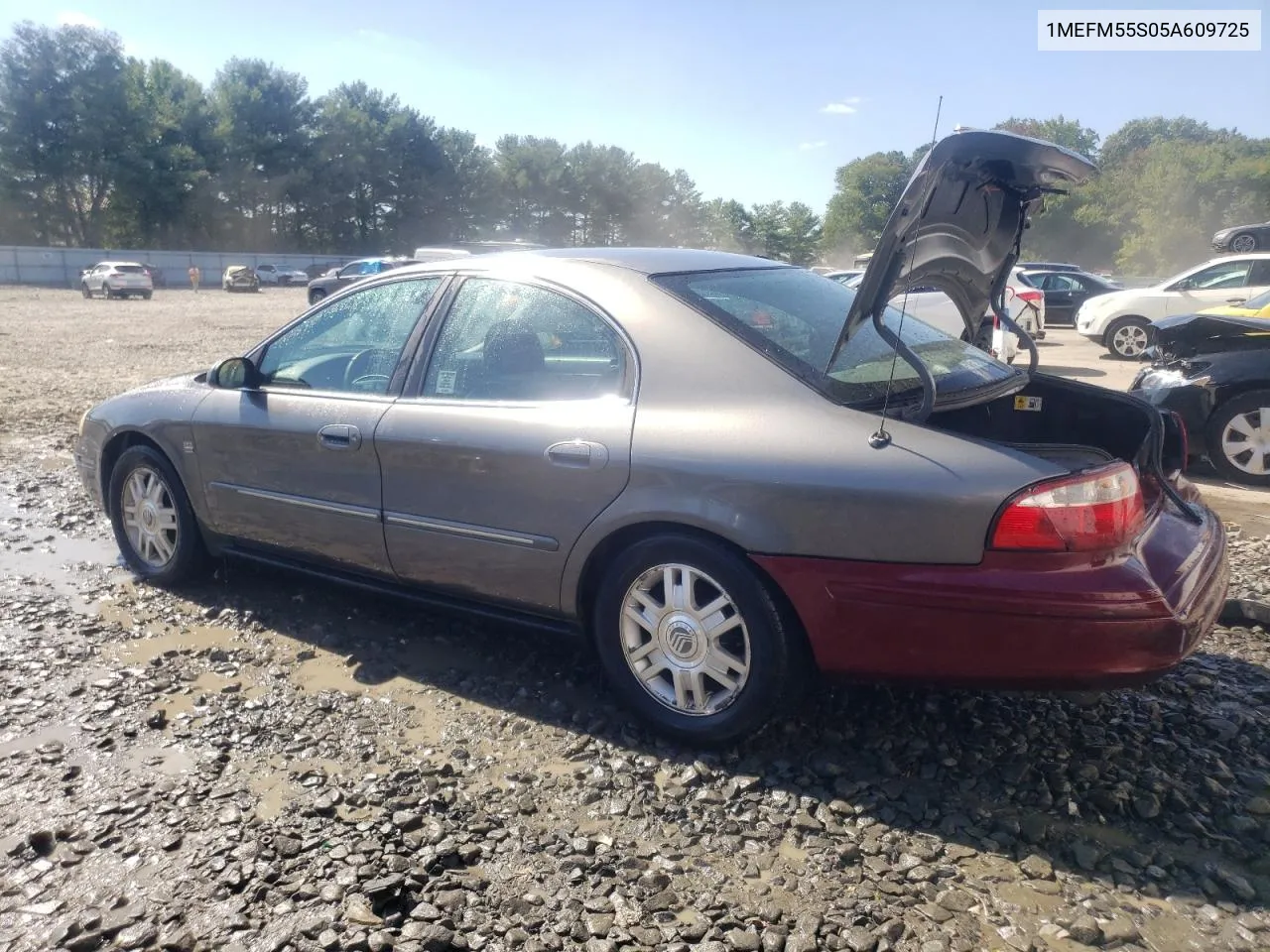 2005 Mercury Sable Ls Premium VIN: 1MEFM55S05A609725 Lot: 70487494