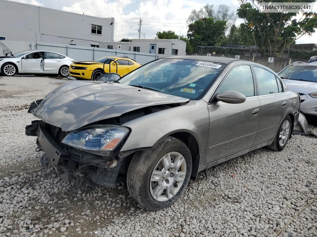 2005 Nissan Altima S VIN: 1N4AL11D65C302441 Lot: 66838684