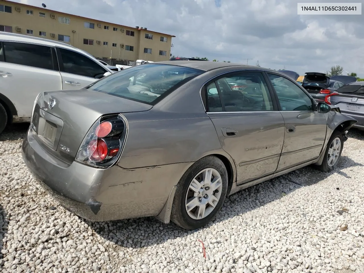 2005 Nissan Altima S VIN: 1N4AL11D65C302441 Lot: 66838684